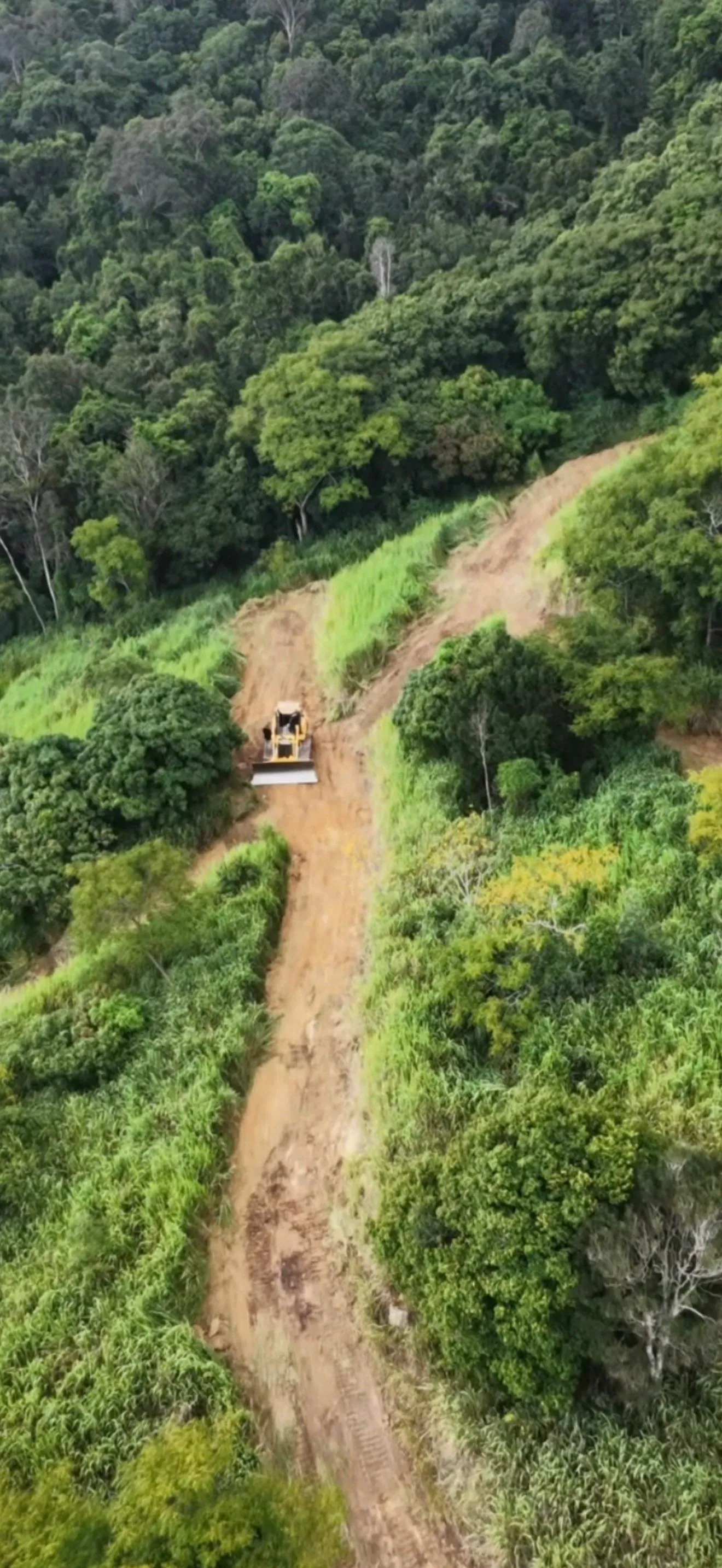 Property earthworks on a steep block, clearing, levelling, and building up a solid platfor...